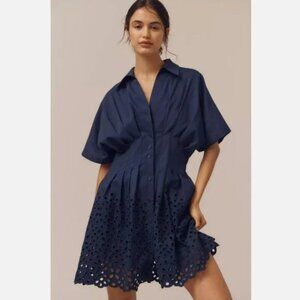 Anthropologie The Tobie Button-Front Pleated Mini Shirt Dress by Exquise